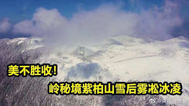 逗小猴开心系列212