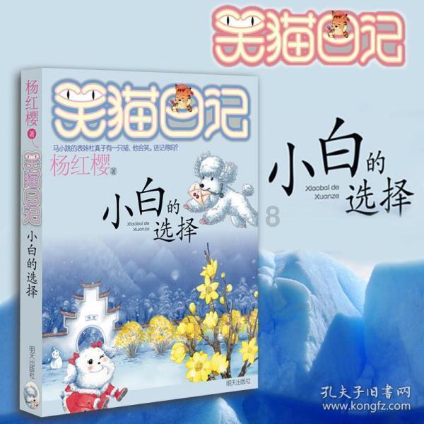 玛丽皇后的时装