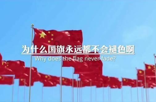 女巫的约定