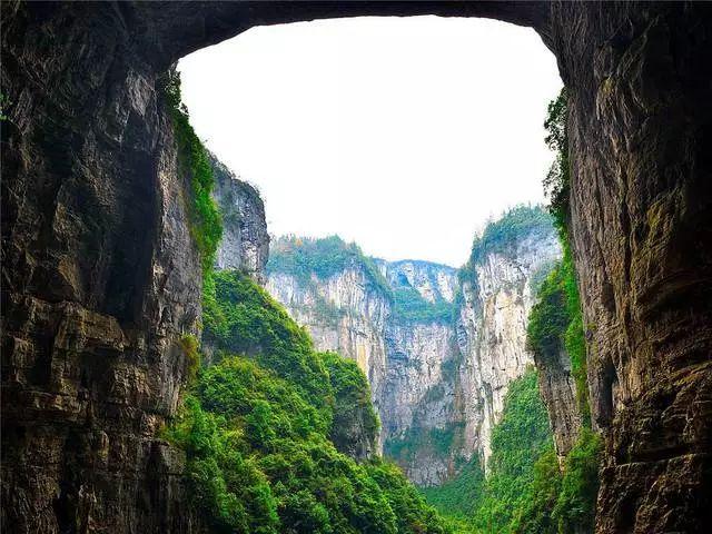 生化危机：启示录
